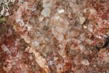 Hematite Quartz Crystal Geode Section - Morocco #109452-2